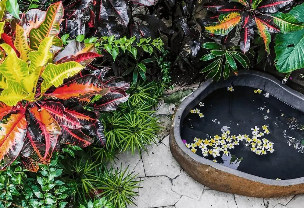 Dwa Chandra Full-Service 5Br Villa In Nature Sanctuary Ubud